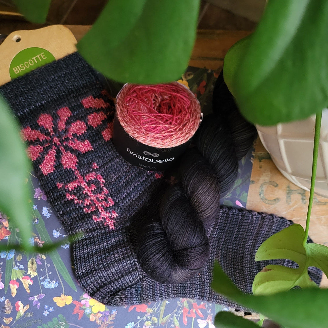 Tithonia Socks | Knitting pattern and Optional kit
